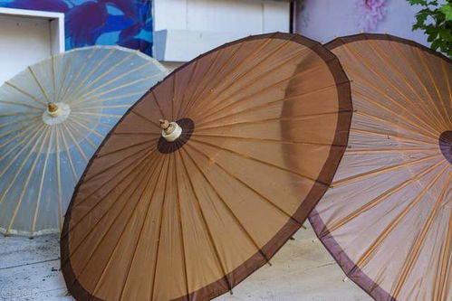 數(shù)字化升級，共創(chuàng)美好未來——紙世界網(wǎng)的紙制品銷售新篇章